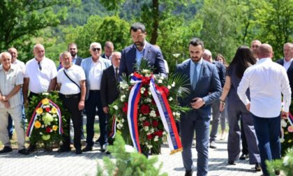Naslovna slika br 9