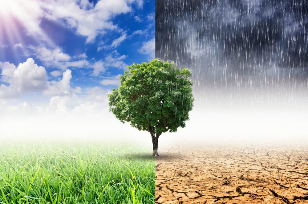 Alarm stručnjaka iz Srbije: Važna adaptacija na klimatske promjene