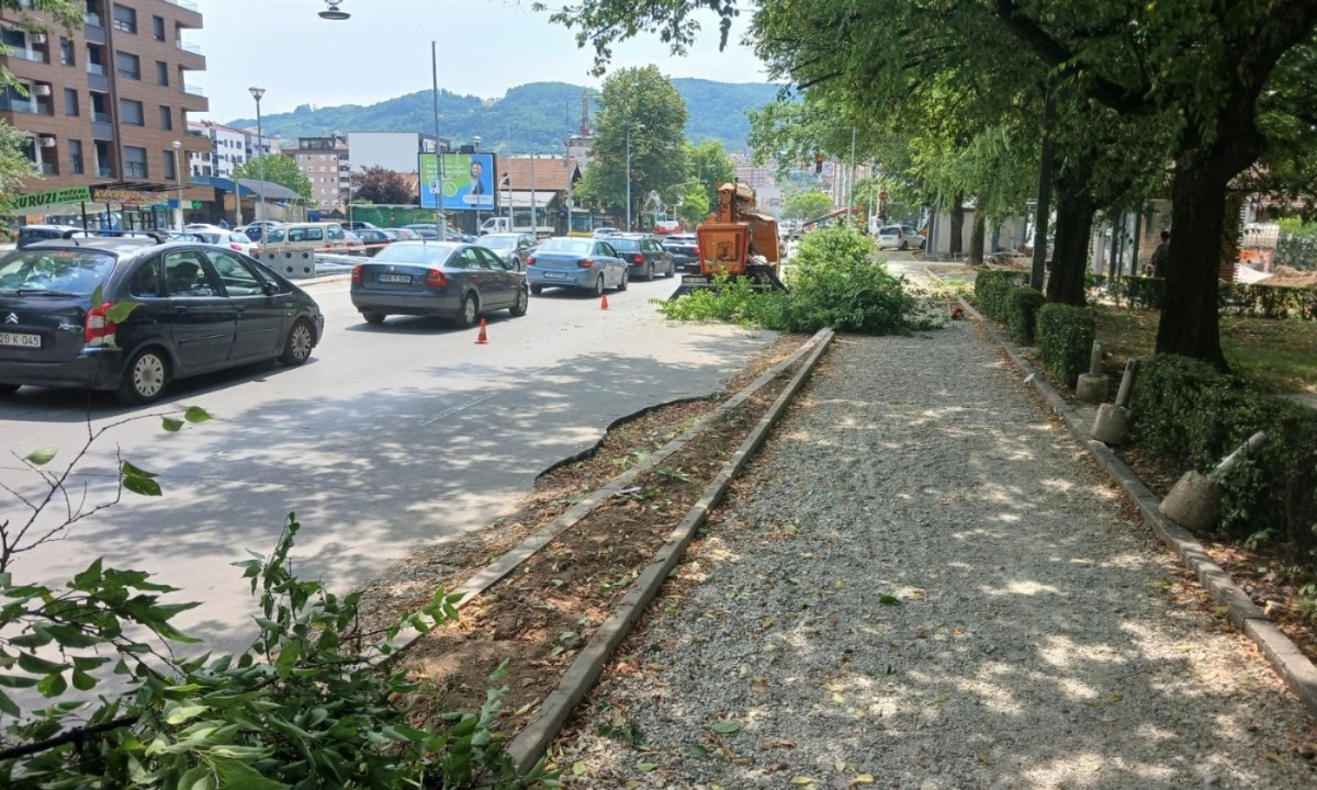 Obratite pažnju na ovu ulicu! Radnici i mehanizacija usporili saobraćaj FOTO