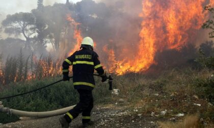 Naslovna slika br 17