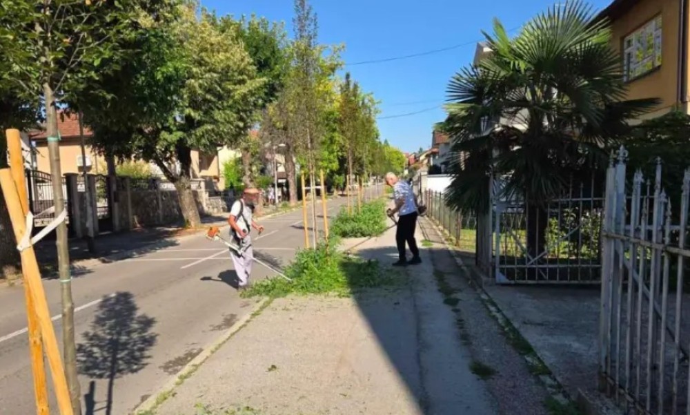 Uzeli trimere u ruke i izašli na ulicu: Mještani banjalučkog naselja sami kosili ambroziju VIDEO
