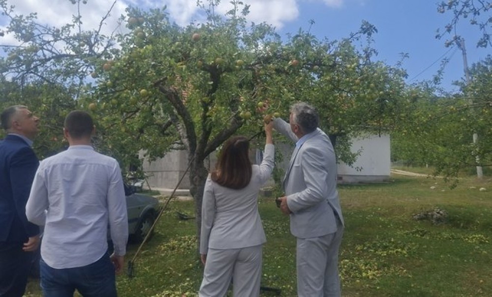 Hercegovina preživjela snažno nevrijeme! Kuzmić: Građani neće biti prepušteni sami sebi VIDEO