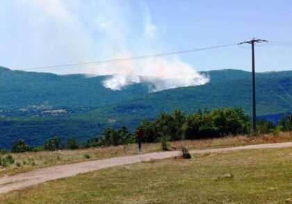Naslovna slika br 8