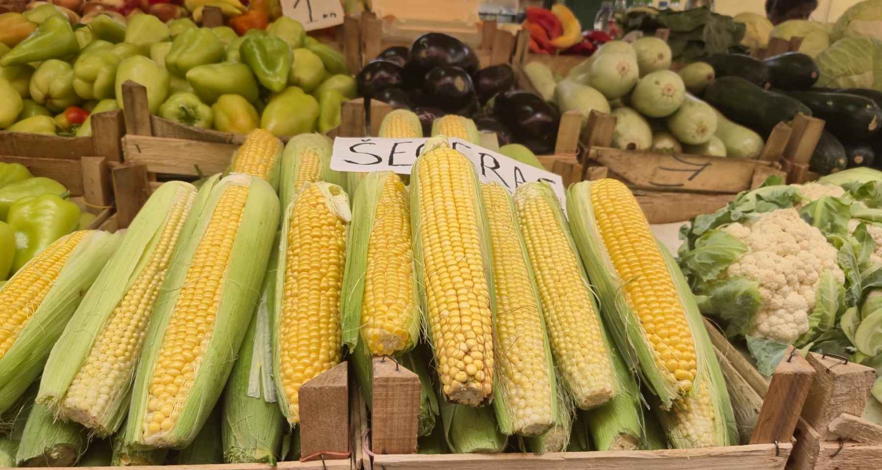 Kulinarski trik za savršen ljetni ukus: Ako kuvate kukuruz samo u vodi, pravite veliku grešku