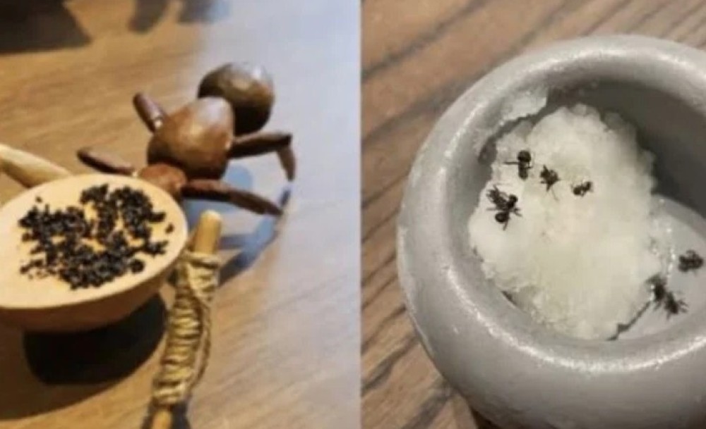 Služio mrave kao ukras za desert: Zatražena zatvorska kazna za vlasnika restorana