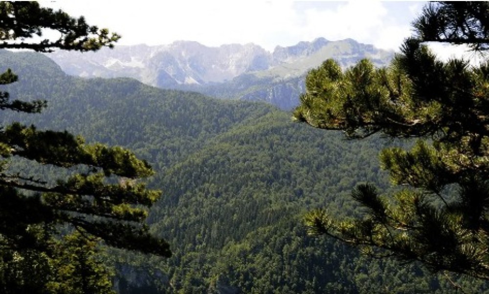 U BiH stižu milioni dolara: Poznato na šta će biti potrošeni – korist će imati i građani