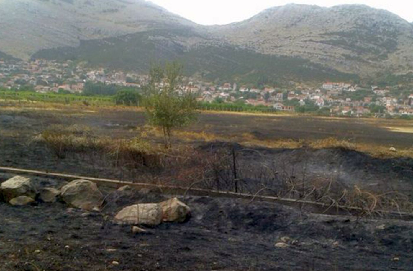 Vatra buknula u Zasad polju i zaprijetila kućama, vatrogasci brzo reagovali i ugasili požar