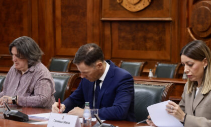 Naslovna slika br 4