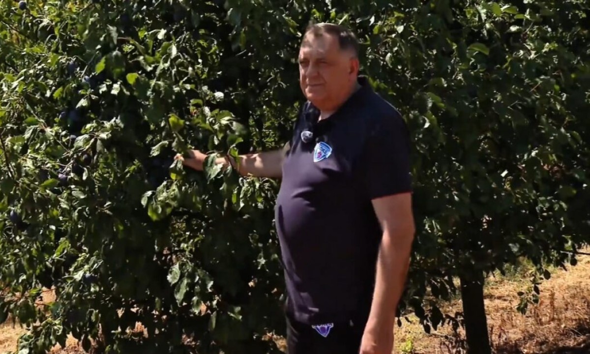 Šljiva kao simbol naroda: Dodik podijelio snimak sa berbe VIDEO