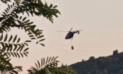Naslovna slika br 15