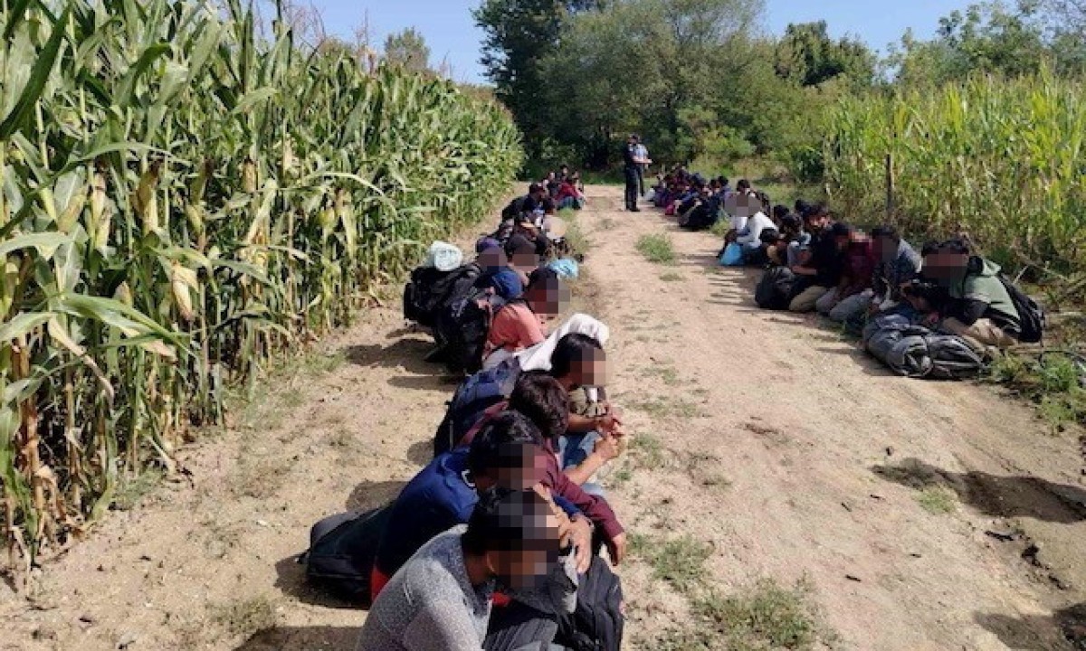 Lociran 61 migrant kod Kozarske Dubice: Zajednička akcija Granične policije BiH i Hrvatske