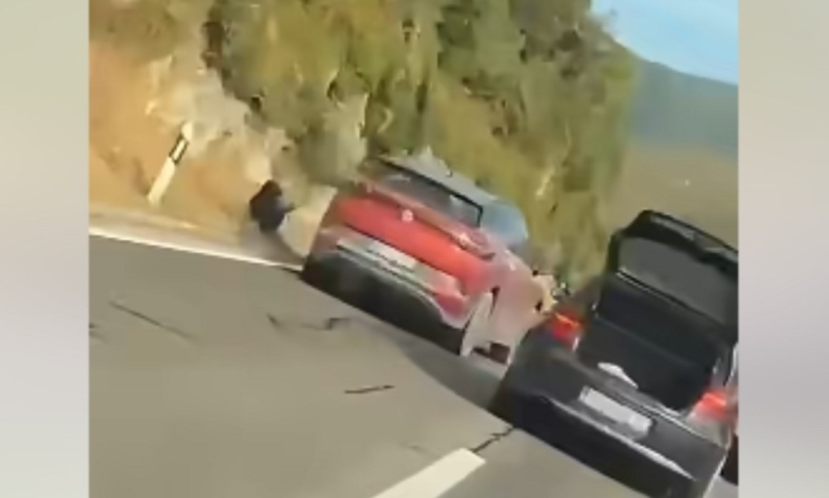 Jezivi kadrovi iz Istre: Zaustavio auto nasred puta, otvorio gepek, a onda je uslijedio strašan udarac! VIDEO