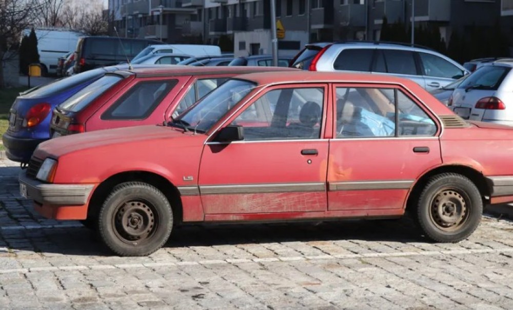 Šok snimak sa vrelog parkinga: Krenuo da uđe u auto, a s vrata visila zmija VIDEO