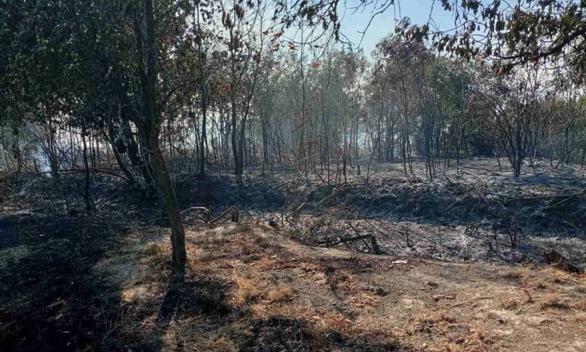 U krvi imao 3,72 promila: Banjalučanin pijan zapalio vatru, pa nastala drama FOTO