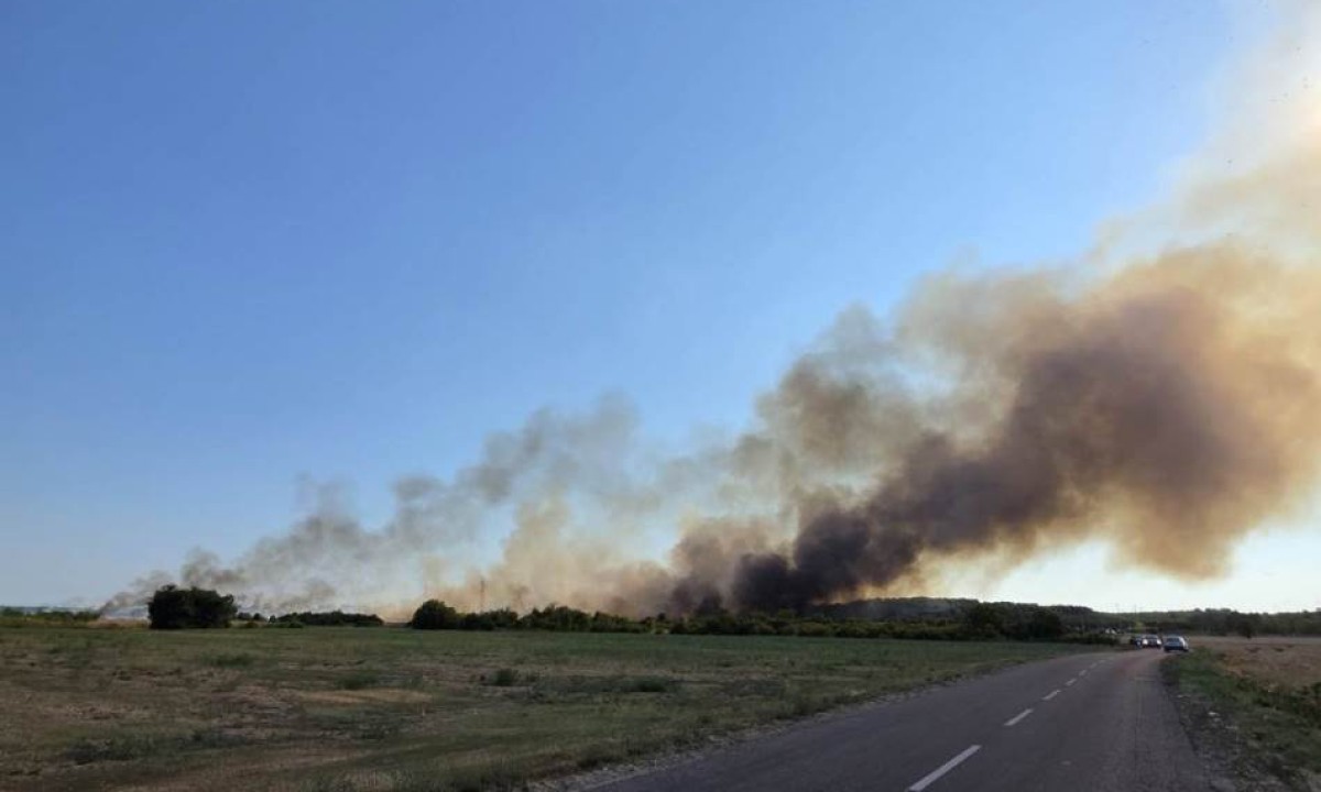 Vatra se ponovo razbuktala: Požar na Švapskoj adi bukti uprkos naporima vatrogasaca