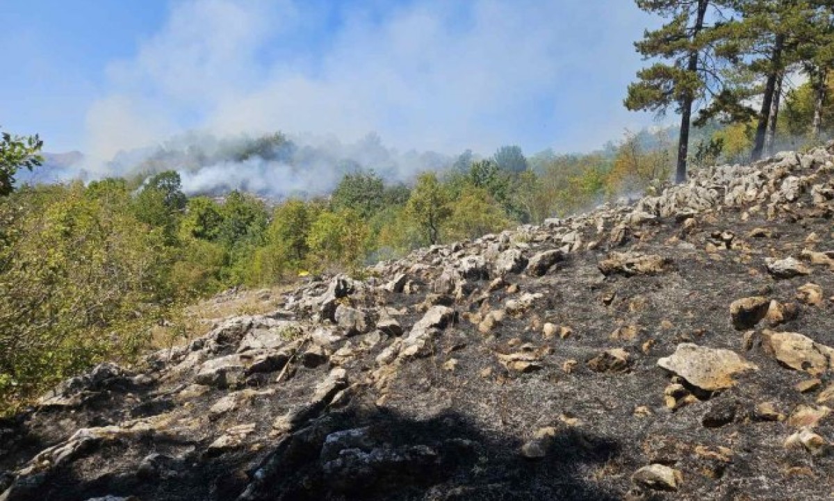 Požarna linija kod Nevesinja se širi: Gori uz put prema Gacku, vatrogasci nemoćni na pojedinim lokacijama