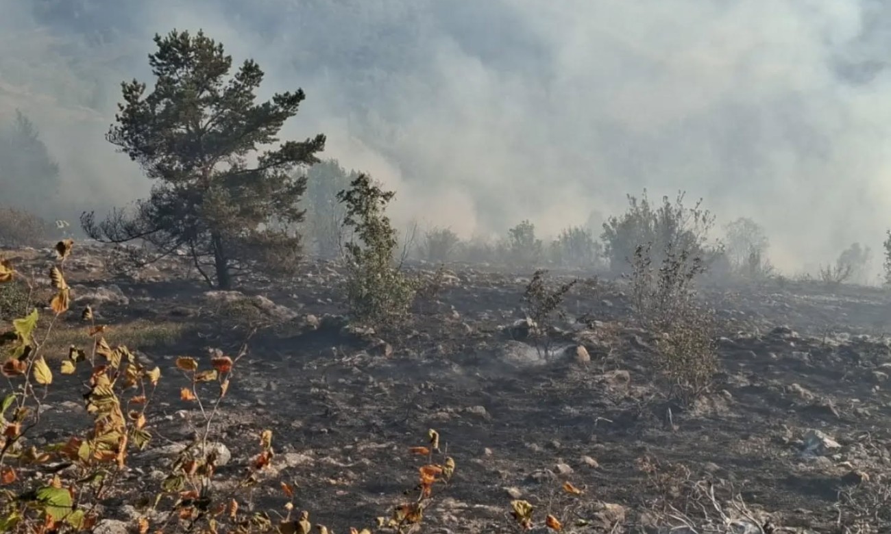 Požar i dalje aktivan: Vatrogasci cijelu noć proveli na Trebeviću FOTO
