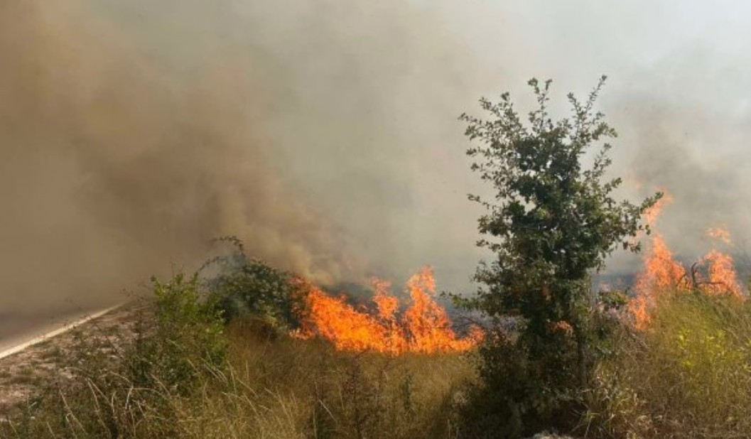 Alarmantno kod Trebinja: Jedan krak požara prijeti da se spusti prema gradu