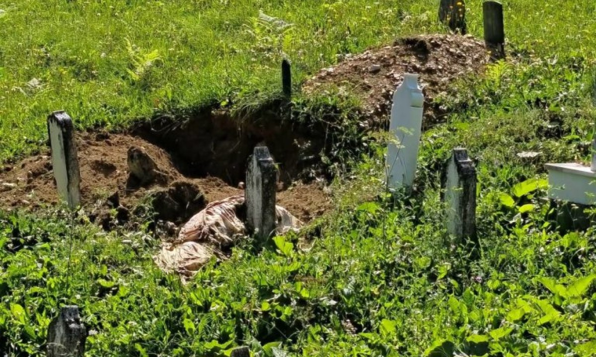 Medvjed raskopao grob kod Travnika: Mještani zgroženi prizorom