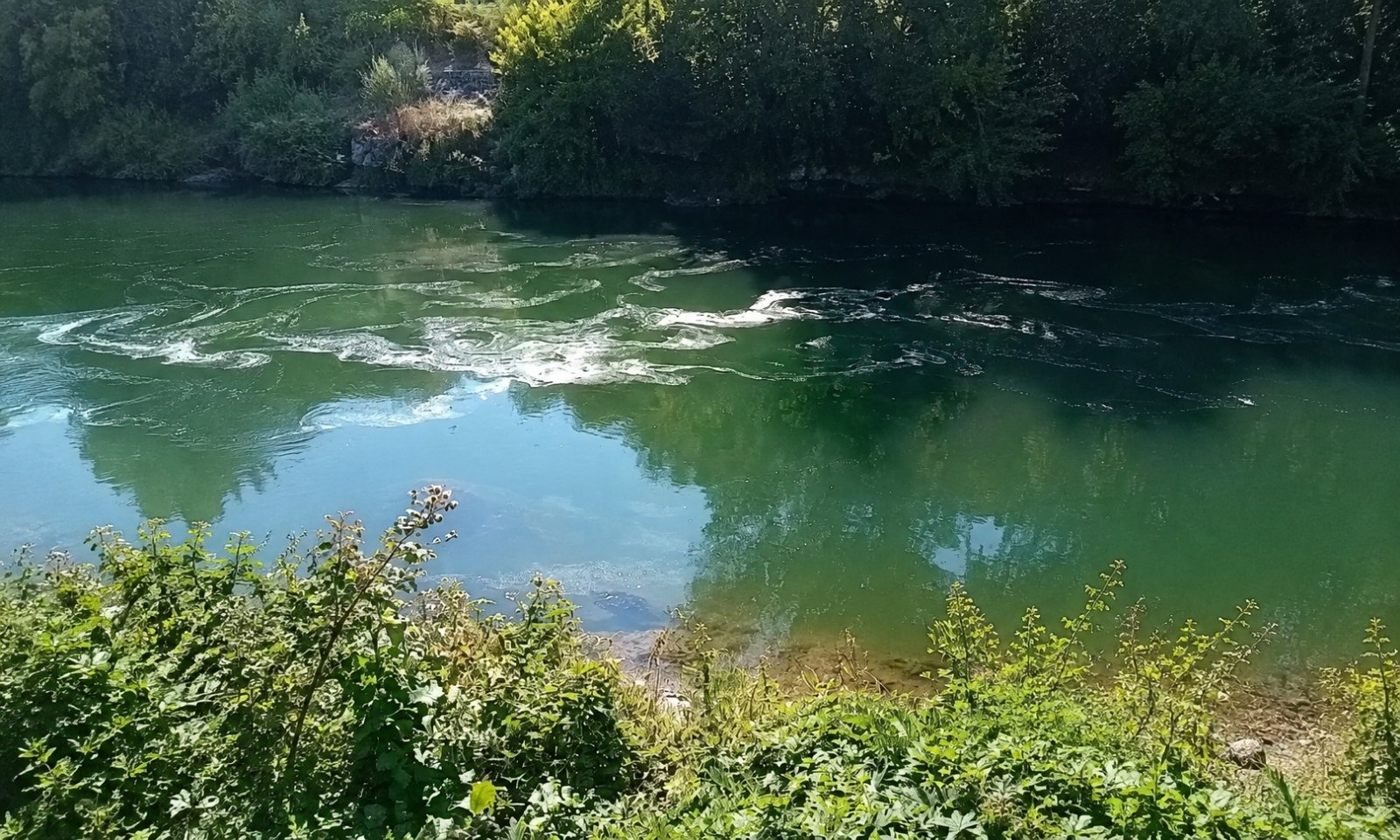 Trovanje Vrbasa sumnjivim hemikalijama? Mandić prijavio slučaj inspekciji, građani zabrinuti FOTO/VIDEO