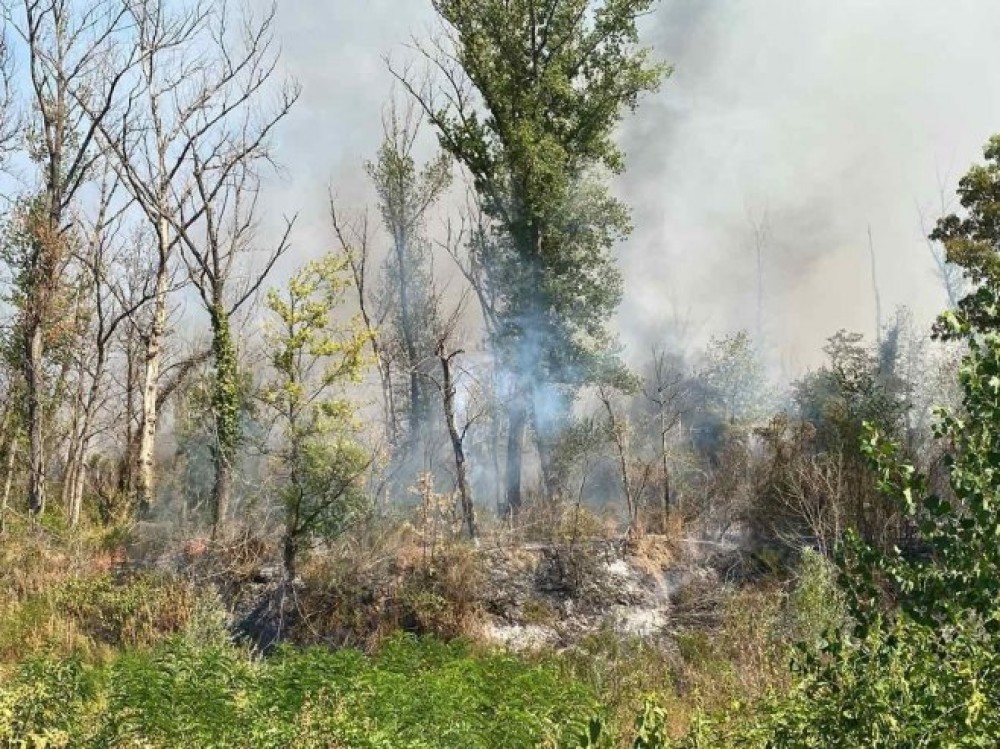 Vatrogasci na terenu: Ponovo aktivan požar u Amajlijama