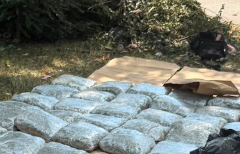 Velika akcija policije: Zaplijenjeno 70 kilograma droge