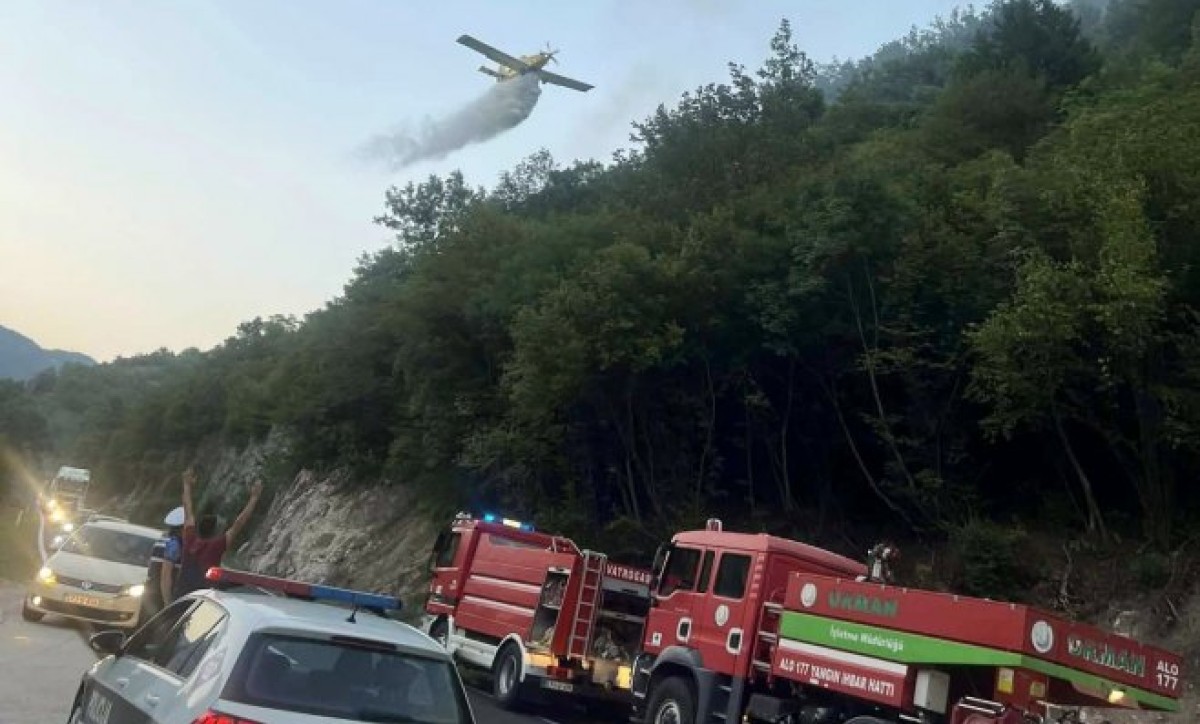 Izuzetno teška situacija u dijelu BiH! Vatra stigla do kuća, zatražena pomoć iz vazduha