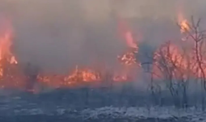 Više aktivnih požara kod Nevesinja: Vatra odbijena od kuća, teren nepristupačan