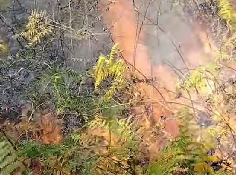 Teška situacija kod Doboja: Požar u Osojnici zahvatio 200 dunuma mješovite šume VIDEO