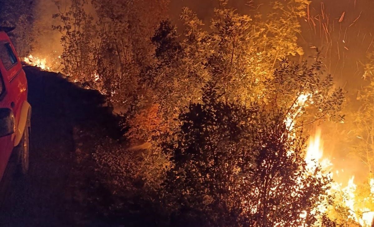 Vatra kod Neuma i dalje gori: Nova požarišta buknula usred borbe vatrogasaca FOTO