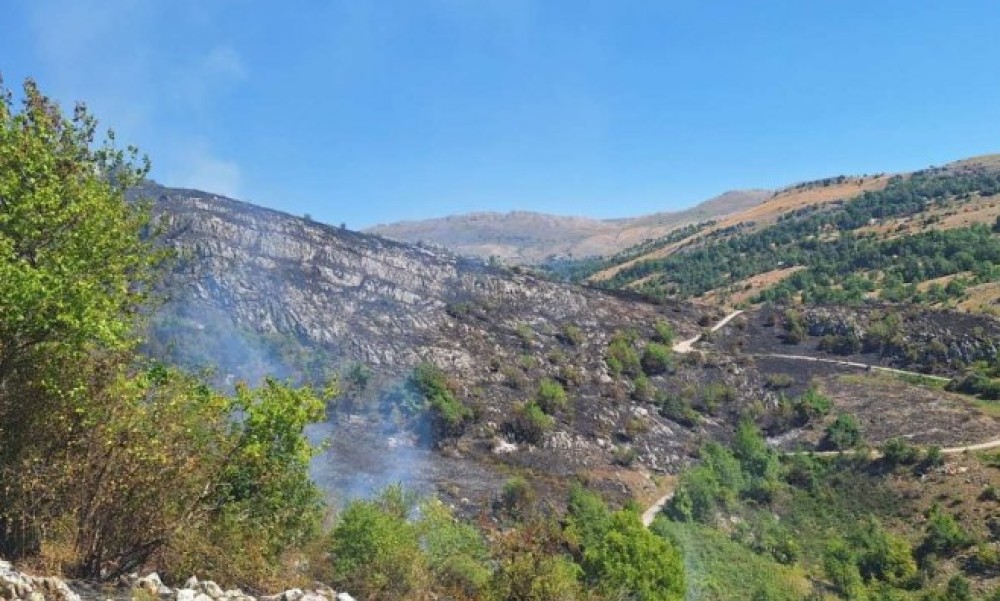 Na području Nevesinja četiri požara: Jedan se približava kućama