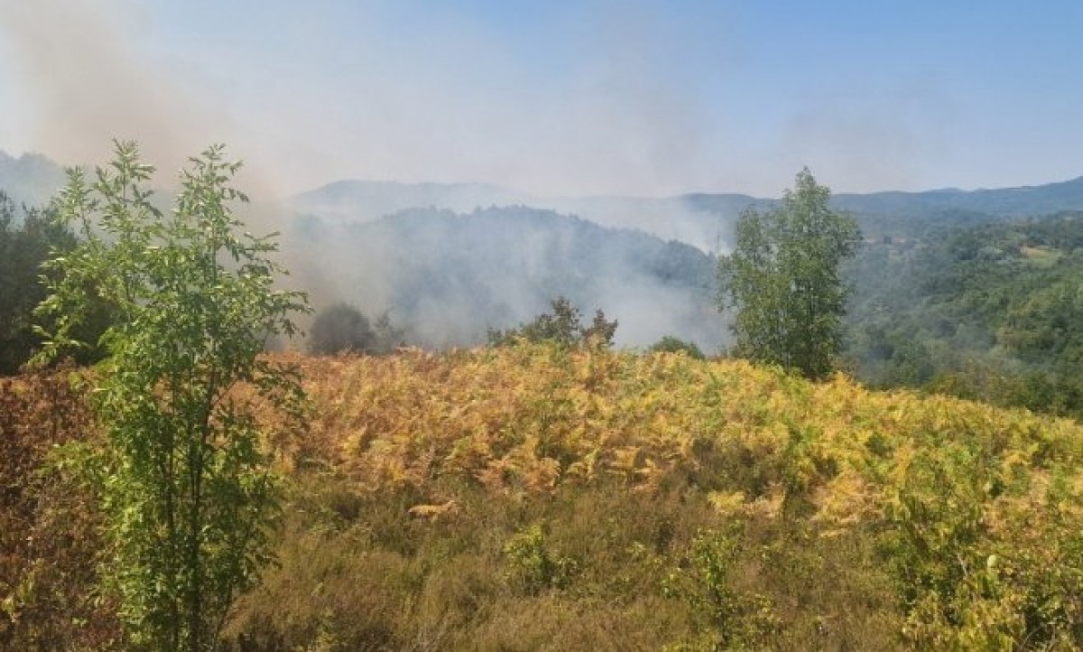 I dalje aktivan požar kod Banjaluke: Jak vjetar ponovo rasplamsao vatru VIDEO, FOTO