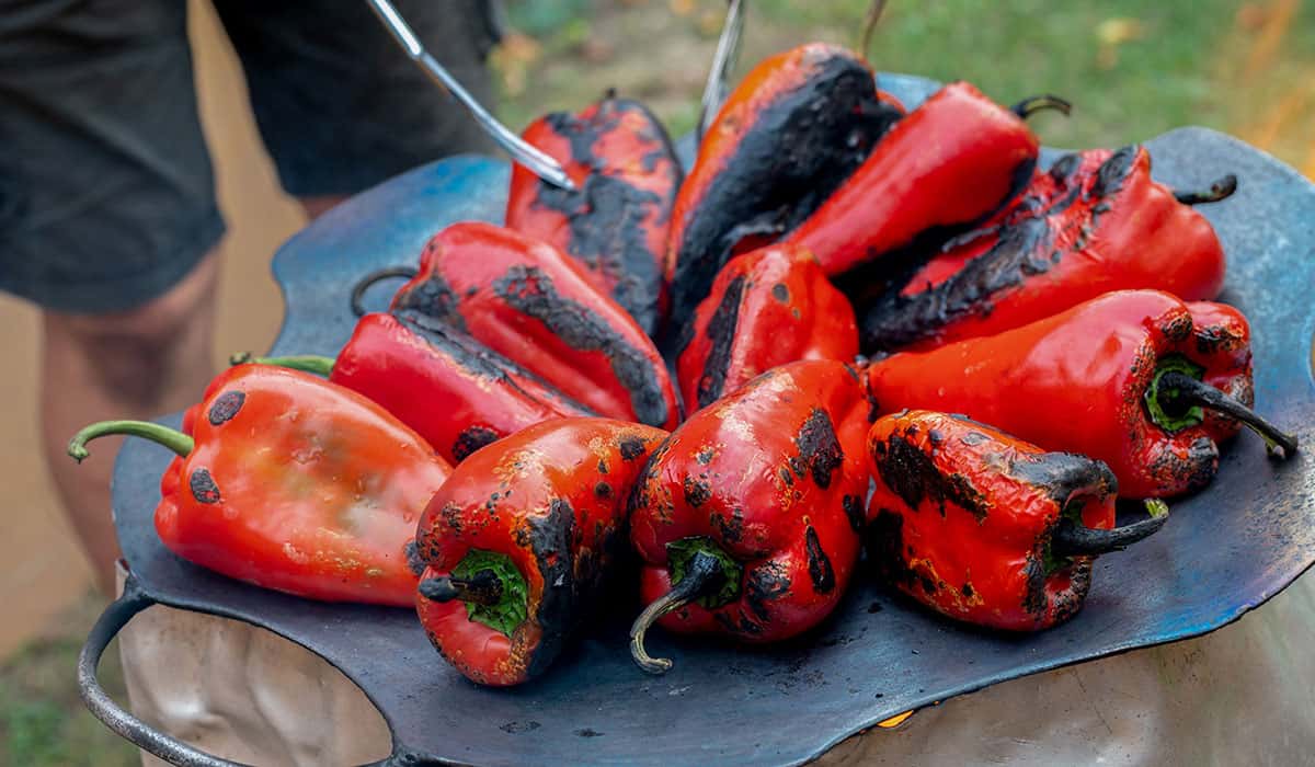 Nije svaka pravi izbor: Ova sorta paprika je najbolja za pravljenje ajvara