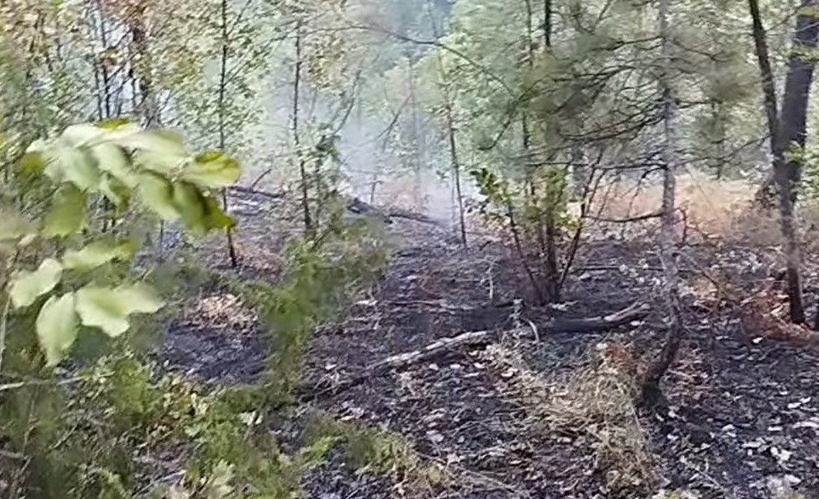 Stanje jutros nešto bolje: Vatrogasci cijelu noć gasili požar u Vrbanji VIDEO