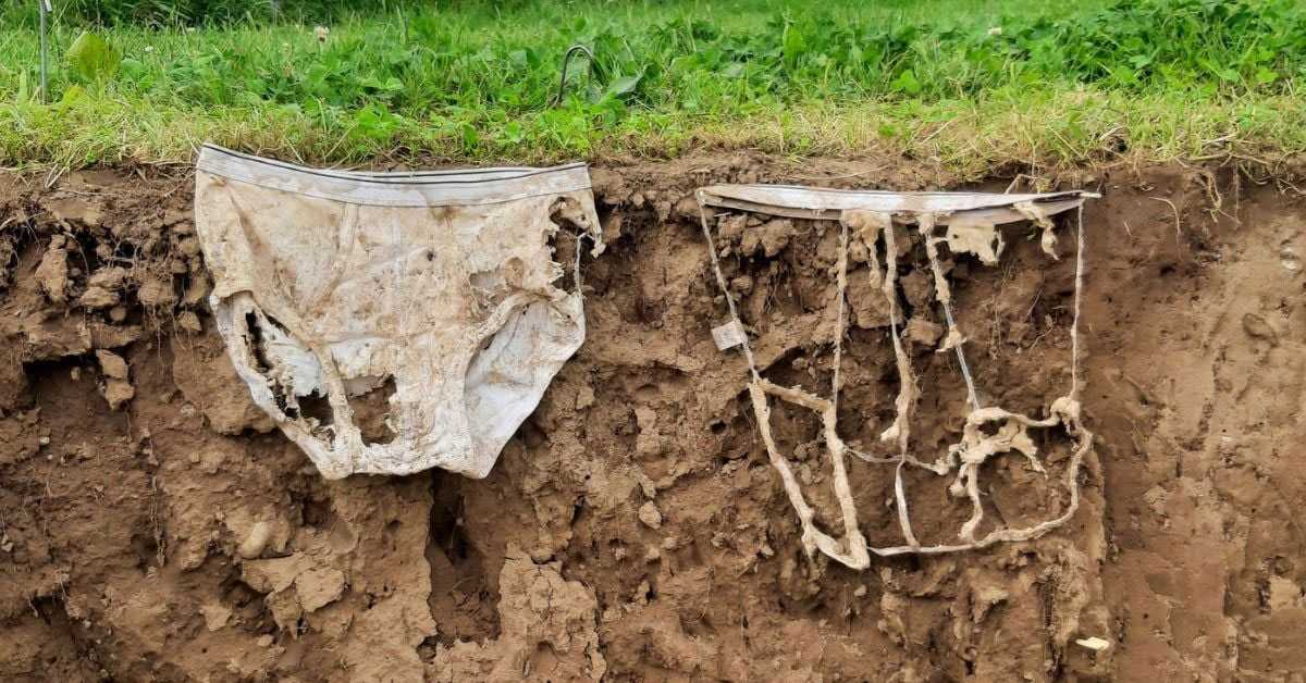 Zakopali gaće po baštama, njivama i livadama: Evo šta naučnici otkrivaju zakopavanjem pamučnog veša
