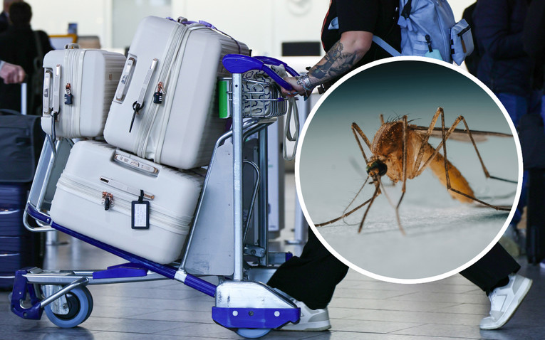 U Evropu avionima stigla malarija: Preminulo troje ljudi