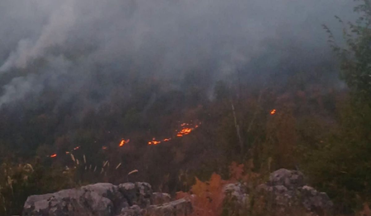 Veliki požar iznad Sarajeva: Vatrogasci na terenu, dim prekrio grad