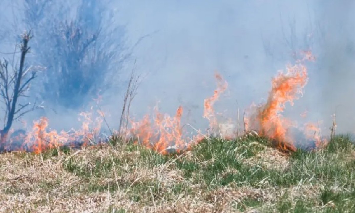 Dramatični prizori iz Crne Gore: Požar guta sve pred sobom, od dima se jedva nazire put VIDEO