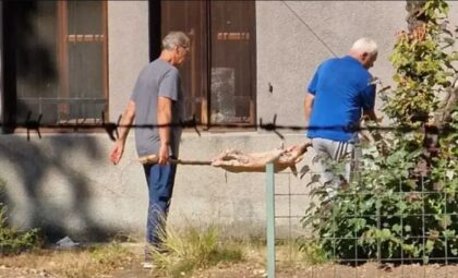Naslovna slika br 1