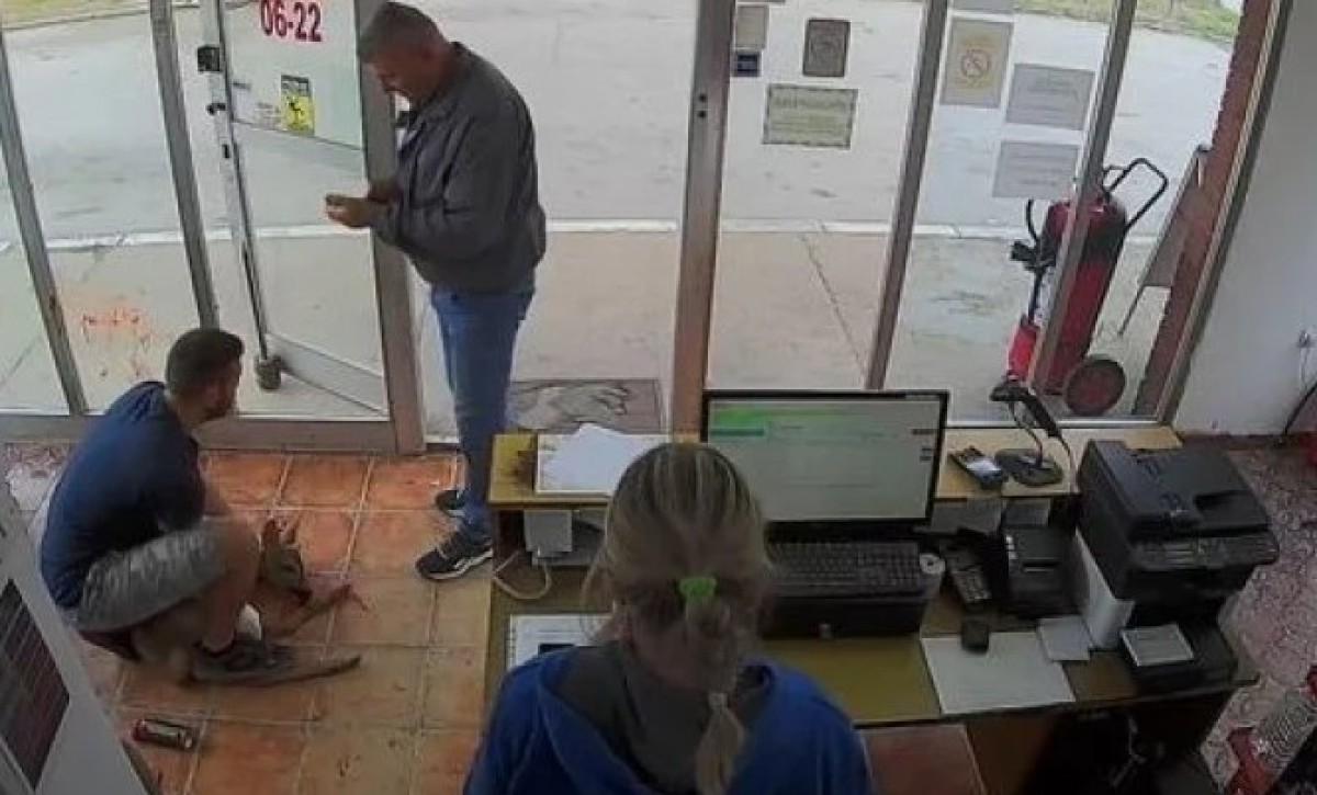 Nevjerovatna scena na pumpi: Srna iznenada proletjela kroz stakleni izlog VIDEO