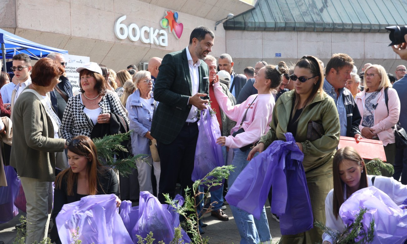 Akcija mladih SNSD-a u Banjaluci: Građanima podijeljeno više od 500 sadnica čempresa FOTO