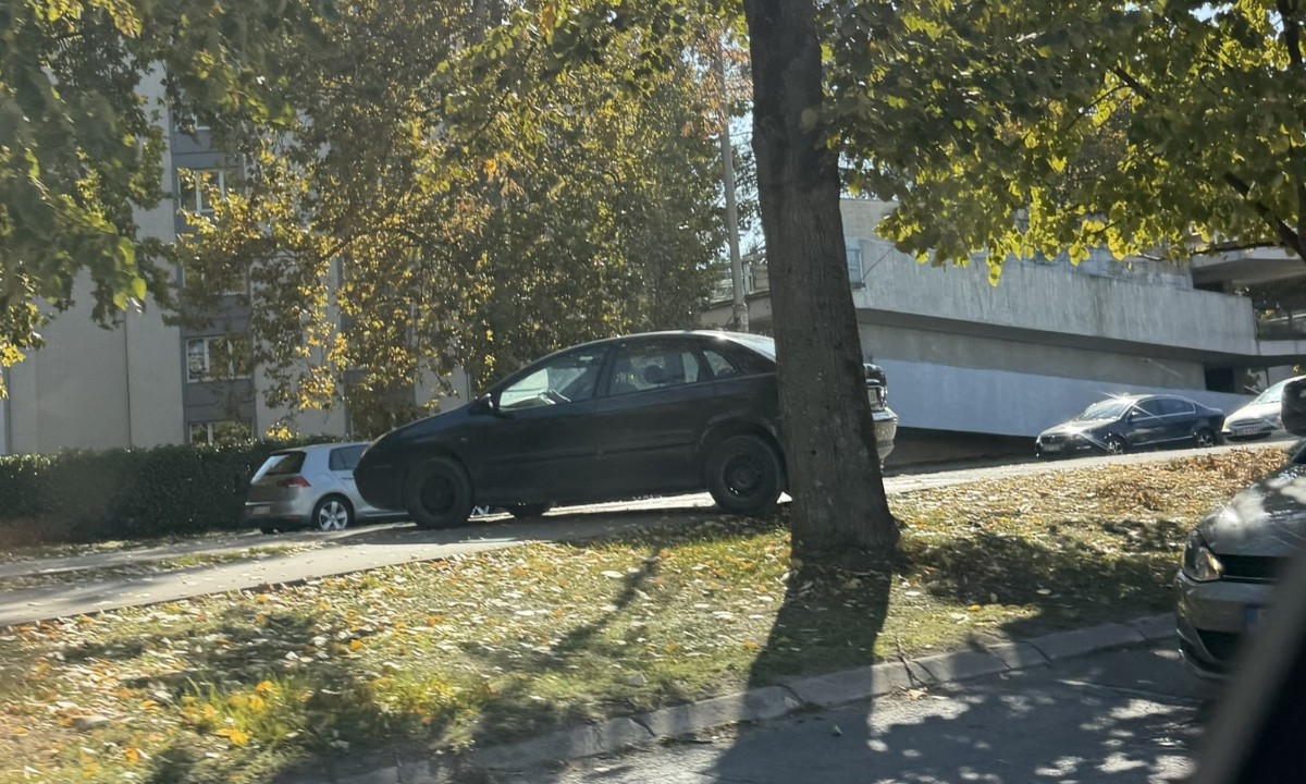 Kome nije do kolone, vozi preko trave! Banjalučki vozači sve nervozniji i bahatiji FOTO