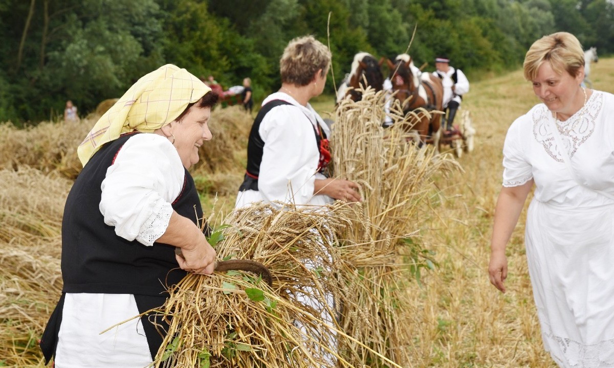 Čuvaju tradiciju i brinu o porodici: Kakav je položaj žene na selu VIDEO