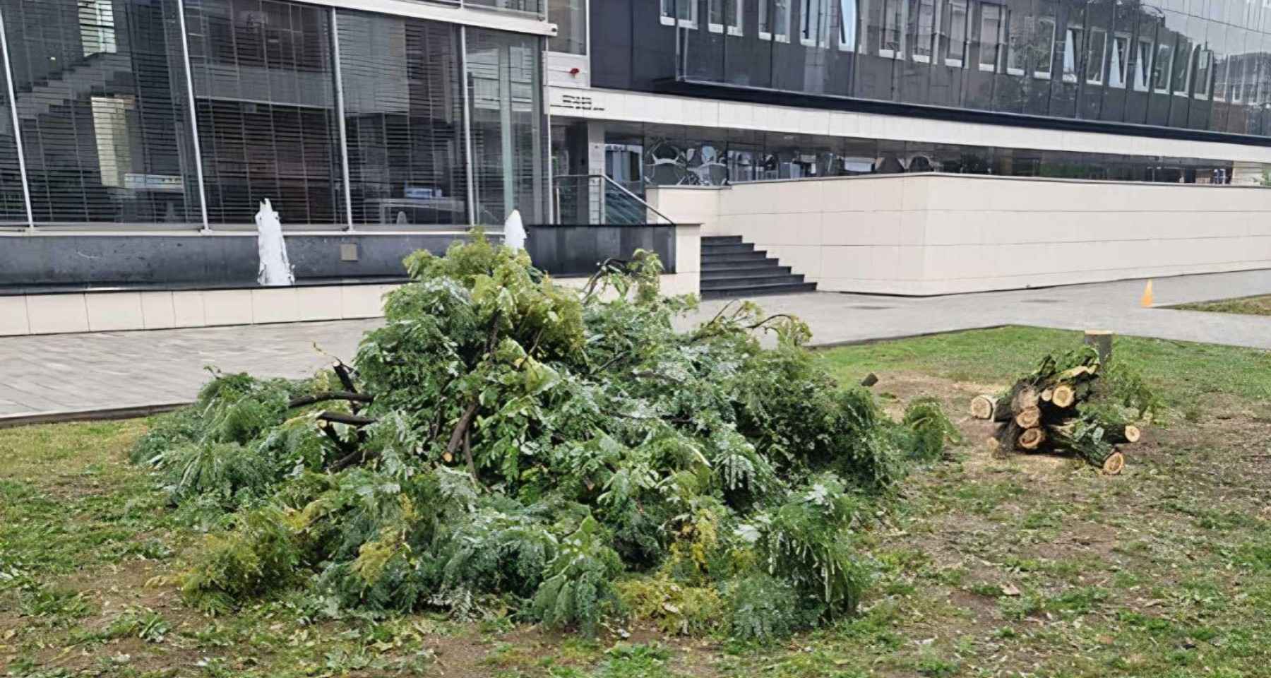 Bagremi uklonjeni iz Vidovdanske u Banjaluci: Ovako gradske vlasti pravdaju tu odluku FOTO