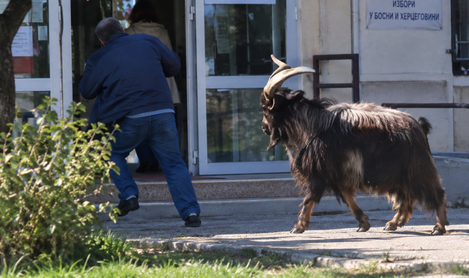 Ni jarac nije mogao do biračkog mjesta: Neobična scena u Potkozarju kod Banjaluke VIDEO