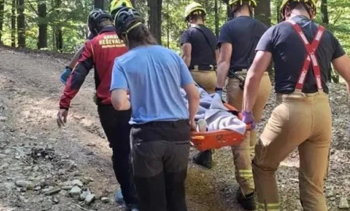 Bivši ministar (70) pao i slomio kuk dok je brao pečurke: “Ja sam kao Ajron Men”