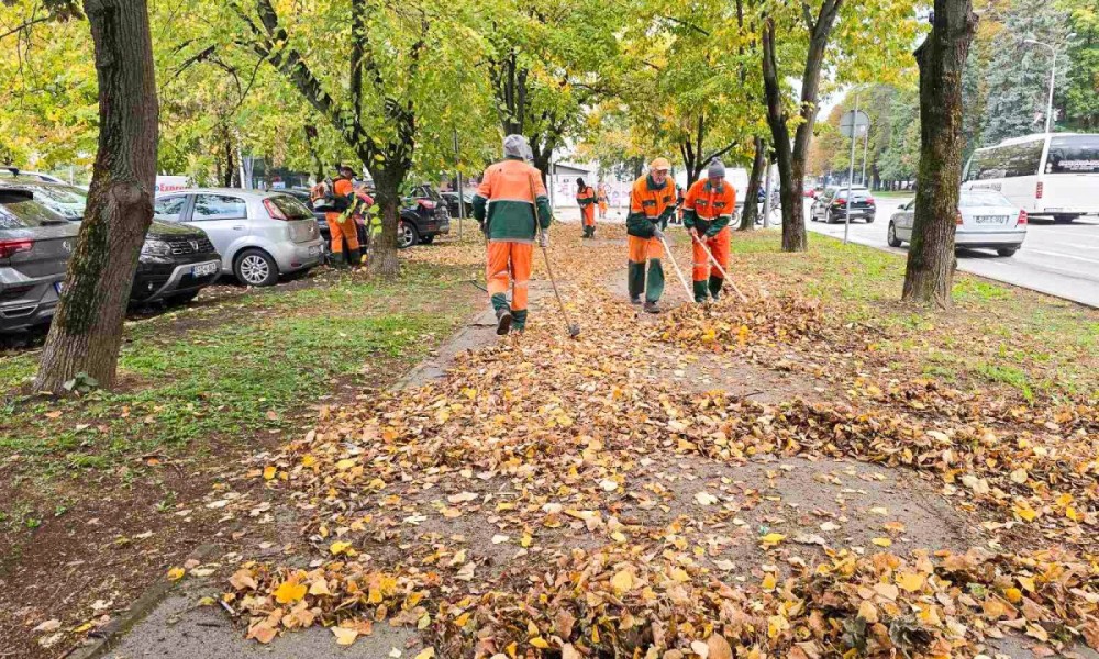 Prikupljanje opalog lišća u Banjaluci: Prioritet ulice sa najvećim brojem širokolisnog drveća